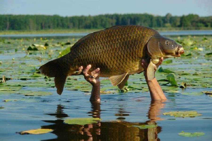 釣魚照片