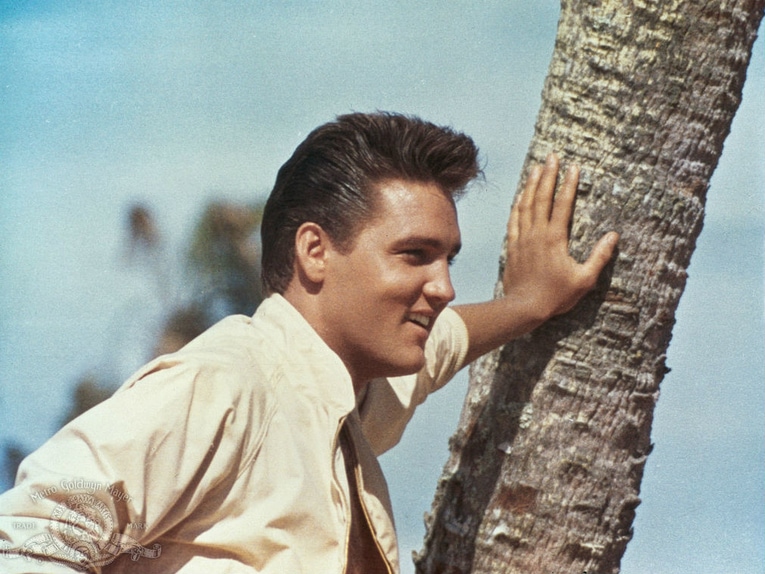 elvis-presley-tree