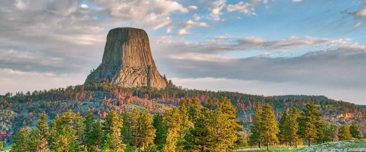 Devil's Tower National Monument in Wyoming Under the Early Morning Cloudy Sky with the forest in the foreground